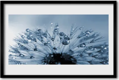 Produktbild von Bild 60x40 MDF-Rahmen Wandkunst Löwenzahn-Blume Drops