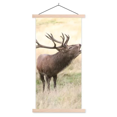 Produktbild von MuchoWow® Textilposter Hirsche - Geweihe - Gras 60x120 cm mit holzfarbenen Rahmen - Holz