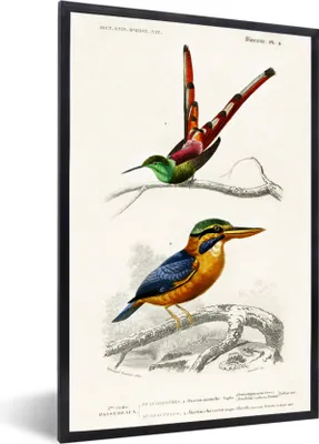 Produktbild von MuchoWow® MuchoWow® Gerahmtes Poster Vogel - Vintage - Zweig 40x60 cm - Poster mit zchwarzem Bilderrahmen - Papierdruck - Wandbilder