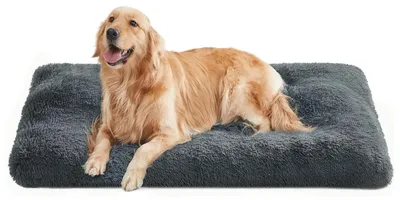 Produktbild von Feandrea XXL Hundebett Rutschfeste Plüsch-Liegefläche Komfort