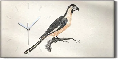 Produktbild von Küche Wohnzimmer Wand Leinwand Uhr 60x30 Zeichnung Tier Vogel Zweig Kunst - weiße Hände