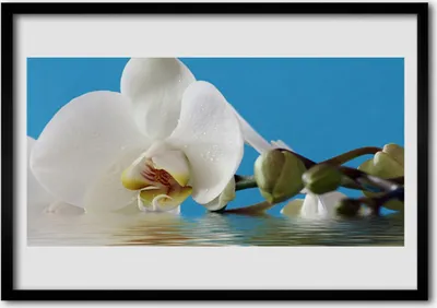 Produktbild von Bild 100x70 MDF-Rahmen Wandkunst Natur Blume Pflanze
