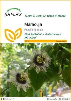 Immagine prodotto di SAFLAX  - Maracuja - 40 semi - Passiflora