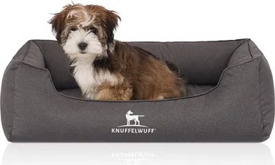 Produktbild von Knuffelwuff Orthopädisches Wasserabweisendes Hundebett Leon aus Velours mit Handwebcharakter M-L 85 x 63cm Anthrazit