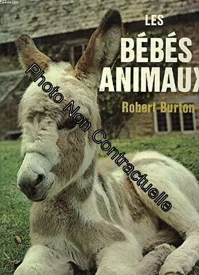 Image de Les Bébés Animaux