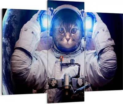 Produktbild von Bild auf Leinwand - Leinwandbild - Kosmonaut Katze - 130x100cm - Wand Bild - Wanddeko - Wandbilder - Leinwanddruck - Bilder - Kunstdruck - Wanddekoration - Leinwand bilder - Wandkunst - CB130x100-3734
