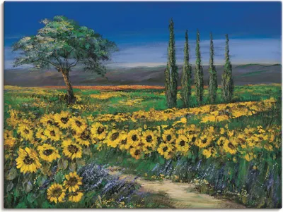 Produktbild von ARTland Leinwandbild Sonnenblumenfeld Größe: 60x45 cm