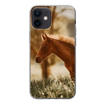 Produktbild von MuchoWow® Handyhülle Schutzhülle Hülle für iPhone 12 Pferd - Licht - Wiese Silikon Softcase Handy Hülle - Schutzhülle