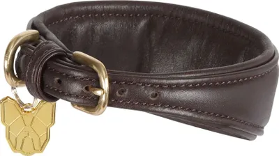 Obrázek produktu pro Digby & Fox - Obojek pro chrty, kožený, polstrovaný ER2221 (XS - Výstřih: 21 cm-24 cm) (Hnědá)