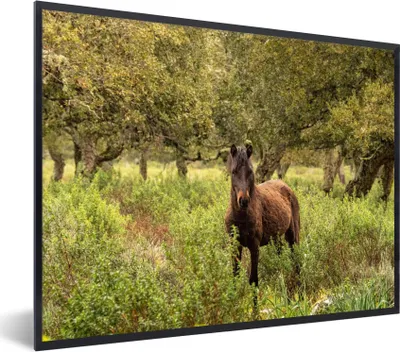 Produktbild von MuchoWow® MuchoWow® Gerahmtes Poster Pferd - Wald - Gras 80x60 cm - Poster mit zchwarzem Bilderrahmen - Schwarzem - Mit Gestell