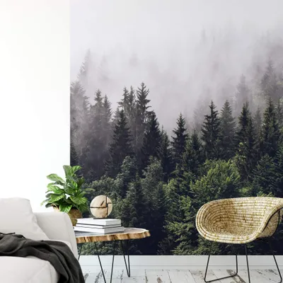 Produktbild von A.S. Création Vlies Fototapete Wald Foggy Forest  DD119123 Baum Designwalls 2.0