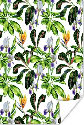 Produktbild von MuchoWow® Poster Paradiesvogelpflanze - Blätter - Grün 120x180 cm - Kunstposter