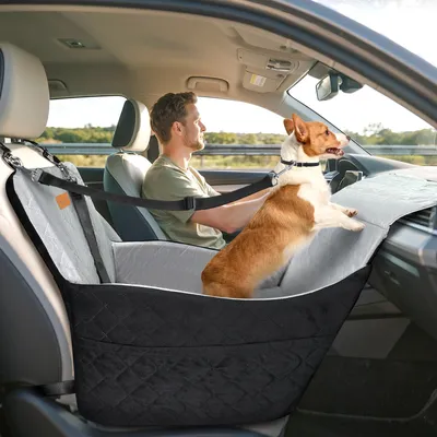 Hundeautositz für kleine/mittlere Hunde, Schwarz & Grau