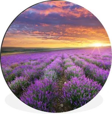 Produktbild von MuchoWow® Aluminium Wandkreis Lavendel - Wolken - Frühling Ø 60 cm Wanddeko Modern Wohnzimmer - Wand Kreis - Wandbild - Schlafzimmer - Aluminium Bild - Kinderzimmer - Wohnzimmer Dekoration - Wandschmuck