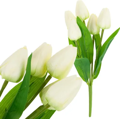 Zdjęcie produktu dla Cv31225-1 Tulipan Bukiet Tulipanów Piękny Jak Żywy Tulipany Kwiaty Białe Ecru X5