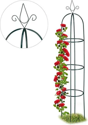 Immagine prodotto di Sostegno per pomodori, cetrioli e piante rampicanti - Arco da giardino