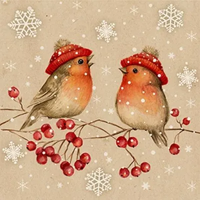 Produktbild von 20 Servietten aus Recycling-Papier Birdie Talk - Rotkehlchen mit Wintermützen 33x33cm