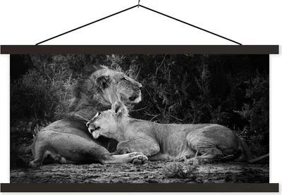 Produktbild von MuchoWow® Textilposter Löwen - Schwarz - Wilde Tiere 120x60 cm mit schwarzem Rahmen - Dekoration Schlafzimmer