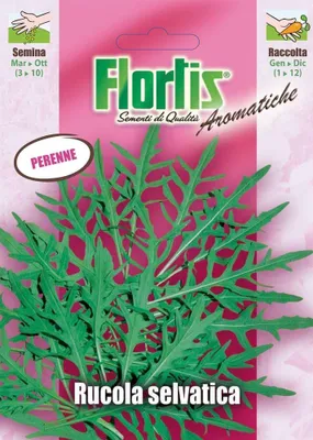 Produktbild von Wilde Rauke | Raukesamen von Flortis [MHD 12/2026]