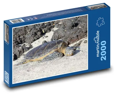 Obrázok produktu pre martinpuzzle - Puzzle 2000 - Morská korytnacka