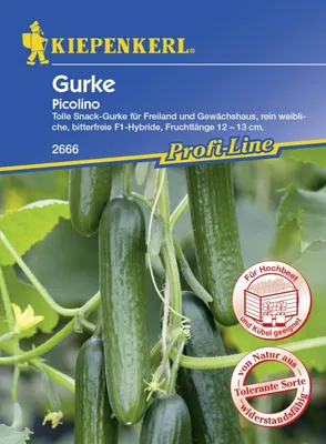 Produktbild von Kiepenkerl Schlangengurke Midios Cucumis sativus, Inhalt: 5 Korn