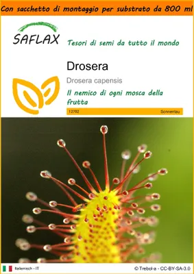 Immagine prodotto di SAFLAX Garden in the bag - Drosera - 200 semi - Drosera