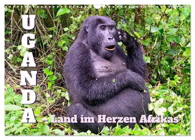 Produktbild von Uganda - Land im Herzen Afrikas (Wandkalender 2027 DIN A3 quer), CALVENDO Monatskalender