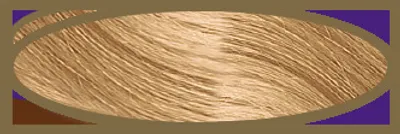 Zdjęcie produktu dla Kremowa farba do włosów WELLATON, 10/0 Najjaśniejszy Blond