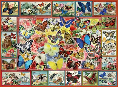 Image de ANATOLIAN Puzzle Beaucoup de papillons 1000 pièces