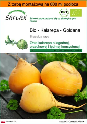 Zdjęcie produktu dla SAFLAX - Garden in the bag - Bio - Kalarepa - Goldana - 500 Nasiona - Z podłożem uprawowym w praktycznej, samorozkładającej się torbie - Brassica rapa