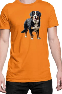 Immagine prodotto di Maglietta da uomo Dogs Breeds Weimaraner Dog Breed 007, Man 2XL , Orange