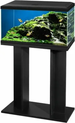 Produktbild von CIANO Aquarium Ciano Schrank, Schwarz