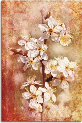 Produktbild von ARTland Leinwandbild Kirschblüten Größe: 60x90 cm