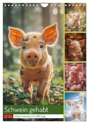Produktbild von Schwein gehabt (Wandkalender 2026 DIN A4 hoch), CALVENDO Monatskalender