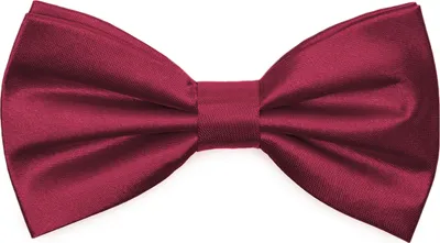 Produktbild von Ladeheid Elegante Herren Fliege -Hochwertig Glänzend Verstellbar BMS (12cmx6cm)