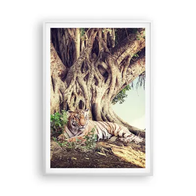 Produktbild von Gerahmtes Poster - Weißer Rahmen - Tiger Wild Baum - 70x100 cm - Wand Bild - Wanddeko - Wandbilder - Kunstposter - Wandposter - Bilderrahmen - Bilder - Kunstdruck - Wanddekoration - P2WPA70x100-5124