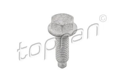 Produktbild von TOPRAN Schraube 107 194 für VW POLO (9N) 0,016kg