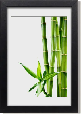 Produktbild von Bild 20x30 MDF-Rahmen, Wandkunst Bambus