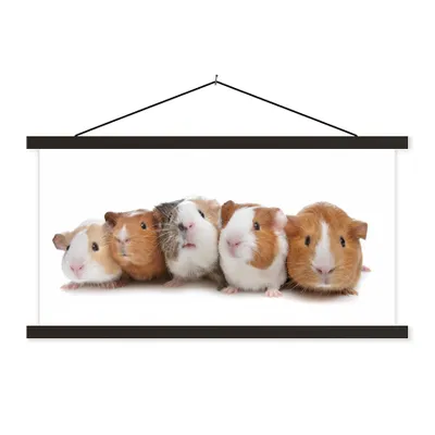Produktbild von MuchoWow® Textilposter Fünf Meerschweinchen in einer Reihe 90x45 cm mit schwarzem Rahmen - Klemmleisten