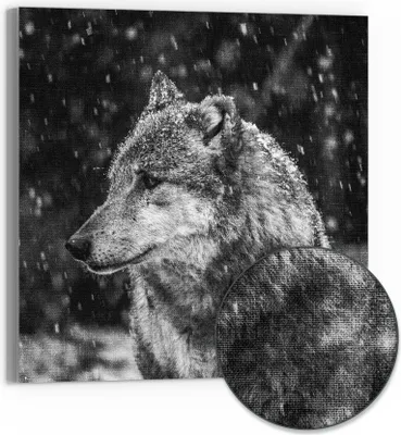 Produktbild von DEQORI Hybrid Leinwand Bild 50x50 cm 'Winterwächter' Wandbild Glas flach modern
