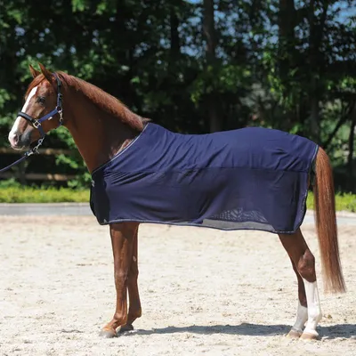 Produktbild von Kavalkade Fliegendecke Fly'n Fleece mit Fleecerücken