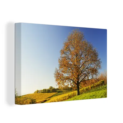 Produktbild von OneMillionCanvasses® - Leinwandbilder - 150x100 cm, Kastanienbaum in einer Weinberglandschaft, Wandbilder Kunstdruck Wanddekoration