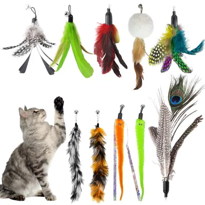 Produktbild von Katzenspielzeug Set 10 Stück Interaktiv Federspielzeug Katzenangel für Kätzchen und Katzen