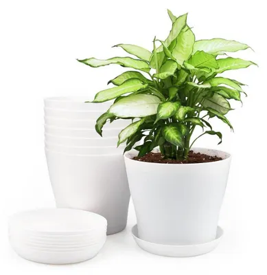 Image de 8 pots de fleurs avec soucoupe, 14 cm, blancs, en plastique, pour cactus et plantes succulentes