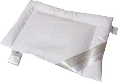 Produktbild von Betten Hofmann Baby Kinder Flachkissen 40x60 cm u-förmig gesteppt 100% Daunen