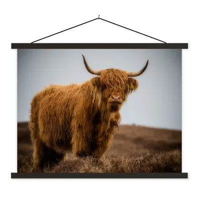 Produktbild von MuchoWow® Textilposter Schottischer Highlander - Düne - Gras 150x113 cm mit schwarzem Rahmen - Wohnzimmer