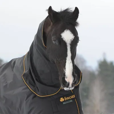 Produktbild von Bucas Halsteil 0g Irish Neck Black/Gold 135