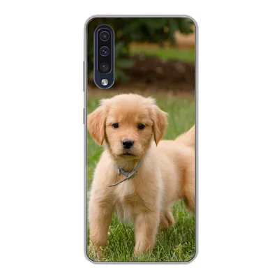 Produktbild von MuchoWow® Handyhülle Schutzhülle Hülle für Samsung Galaxy A30s Golden Retriever Welpe im grünen Gras Silikon Softcase Handy Hülle - Karteninhaber