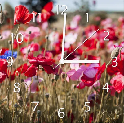 Produktbild von Wallario Design Wanduhr Mohnblumen am Rande eines Feldes aus Echtglas, Größe 30 x 30 cm