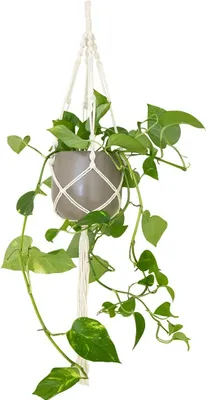 Produktbild von artevasi© MAKRAMEE Einzelspiralknoten Weiß 100 cm